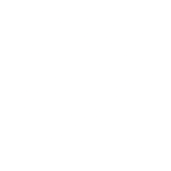 Roblox Corporation Share Price